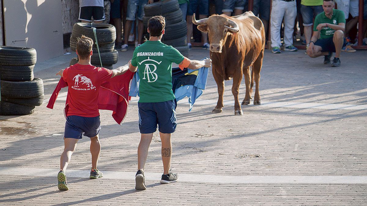 Dos aficionados ante el toro Mazapán, que protagonizó el encierro urbano por las calles de Valderas este sábado por la tarde. | T. GIGANTO Dos aficionados ante el toro Mazapán, que protagonizó el encierro urbano por las calles de Valderas este sábado por la tarde. | T. GIGANTO