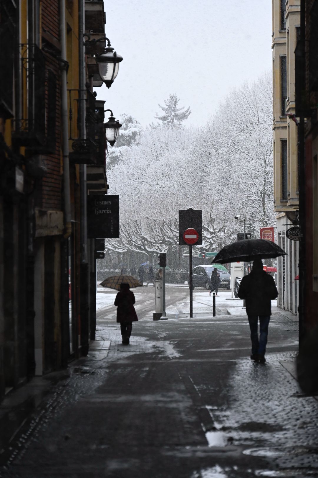 La borrasca Kristin tiñe León de blanco (20)