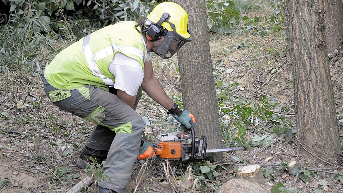 La contratación a través de las empresas de trabajo temporal de la provincia ha repuntado .| MAURICIO PEÑA