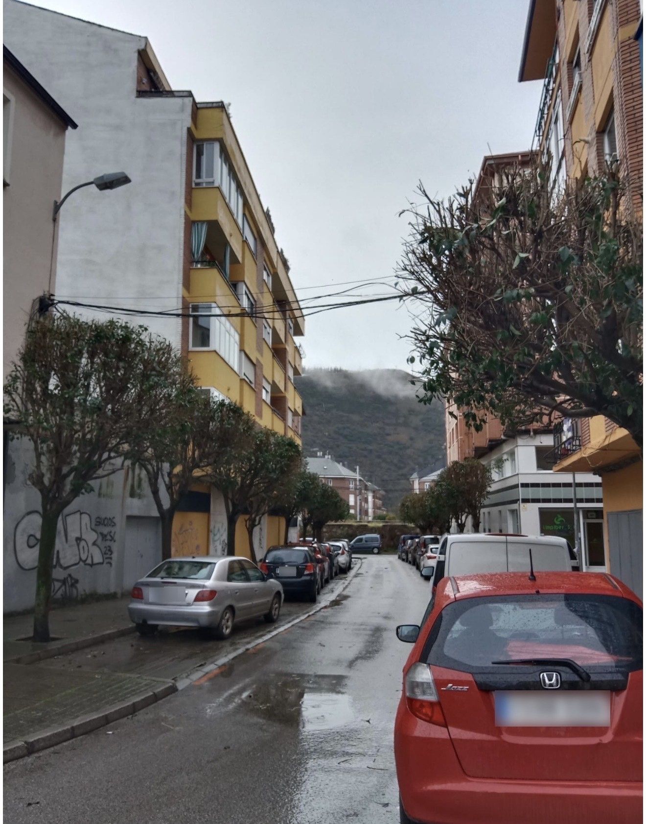 Calle en la que se procedió a la poda y posterior tala de los árboles.