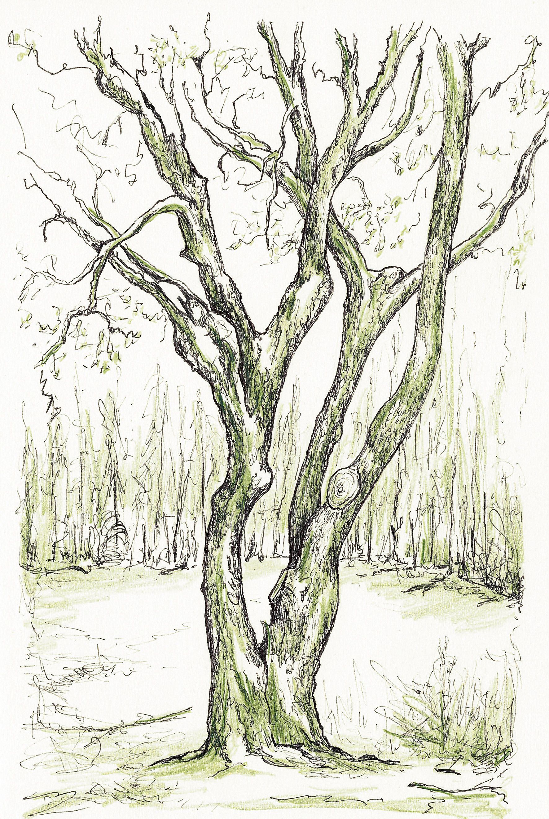 Senderos de inspiración. 