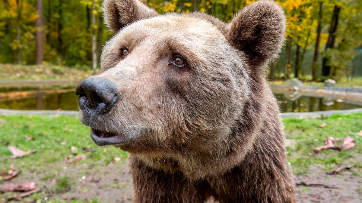 Imagen LUNA Imagen LUNA