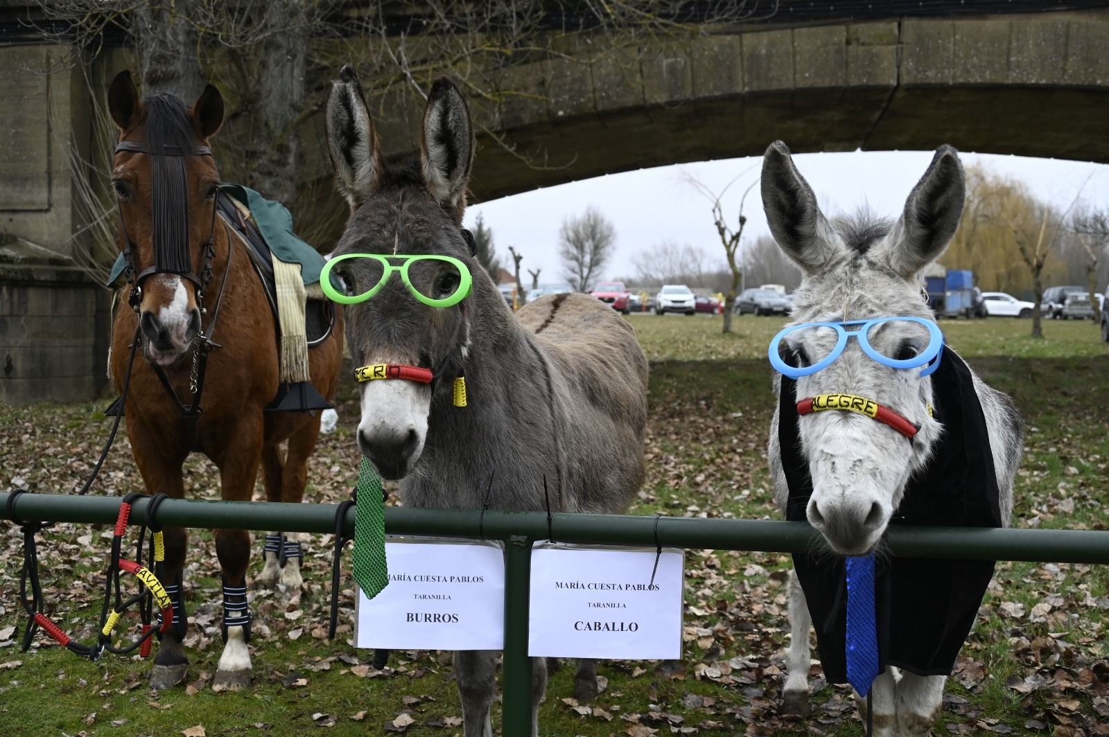 Feria de Gradefes. | SAÚL ARÉN