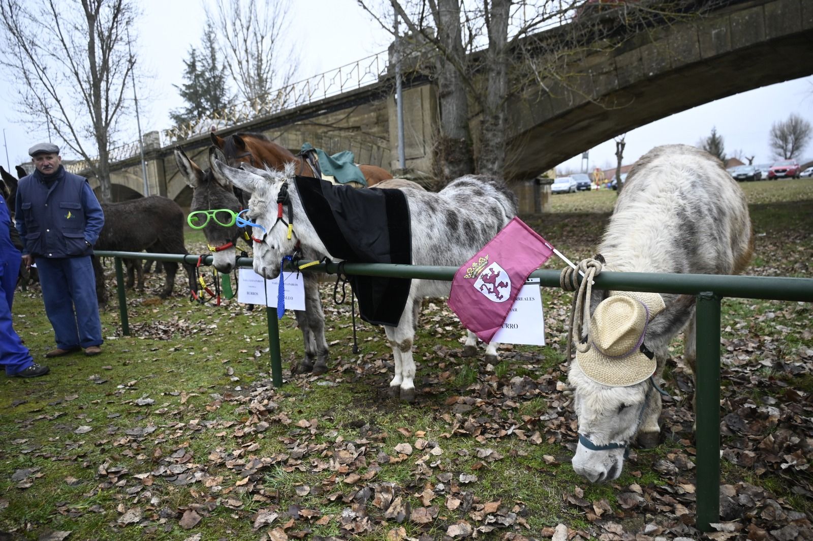 Feria de Gradefes. | SAÚL ARÉN