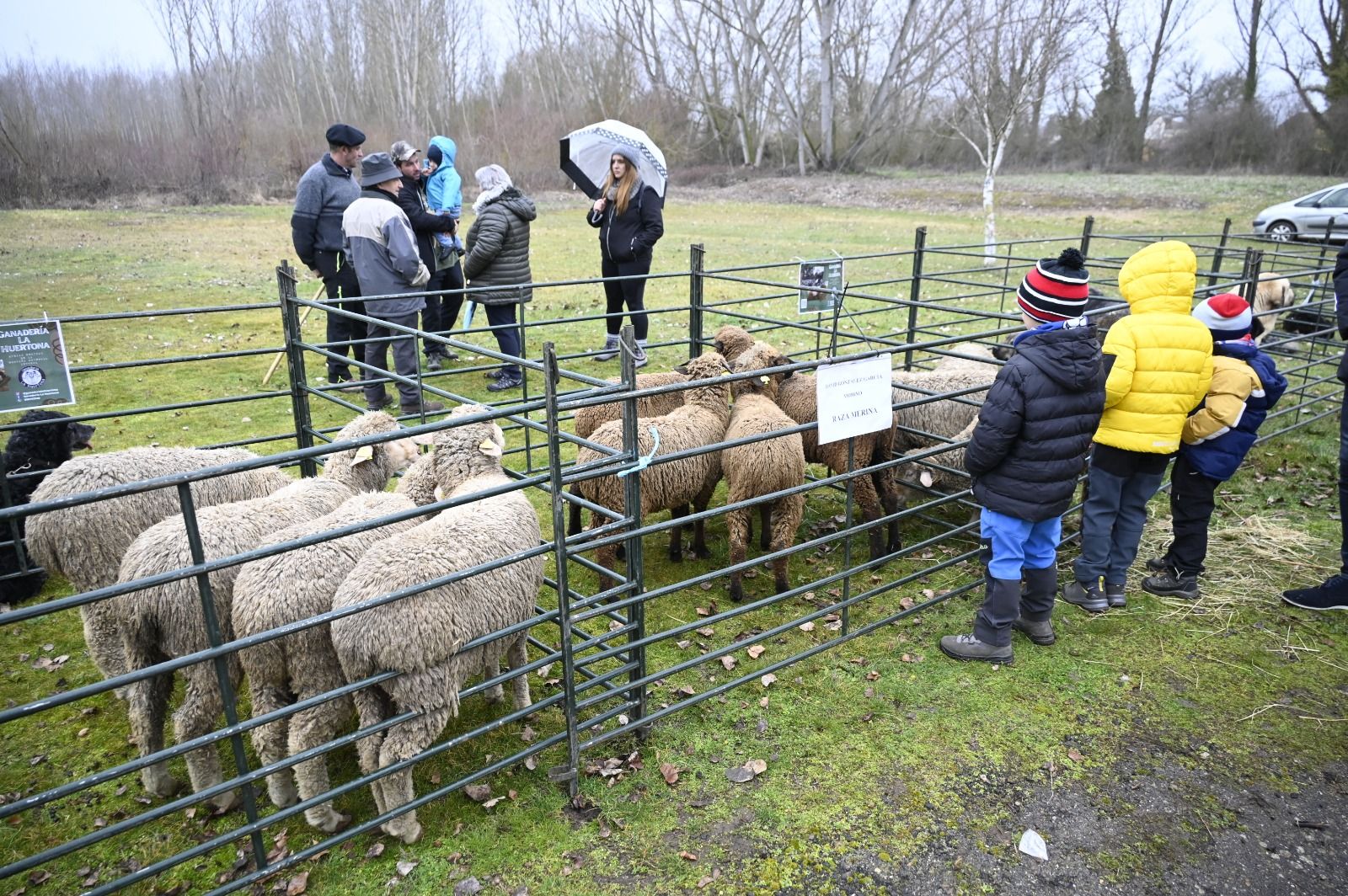 Feria de Gradefes. | SAÚL ARÉN
