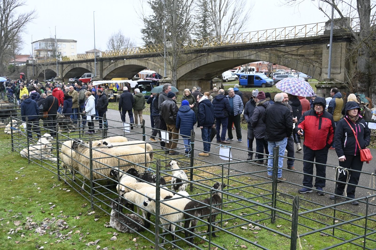 Feria de Gradefes. | SAÚL ARÉN
