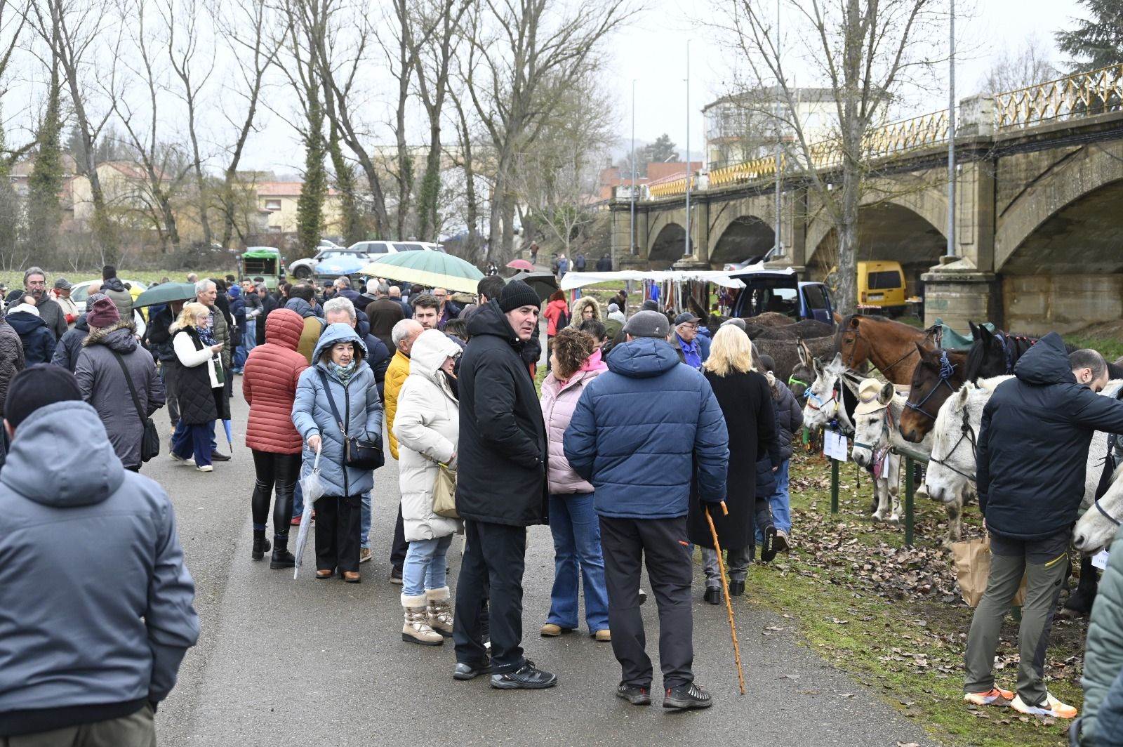 Feria de Gradefes. | SAÚL ARÉN