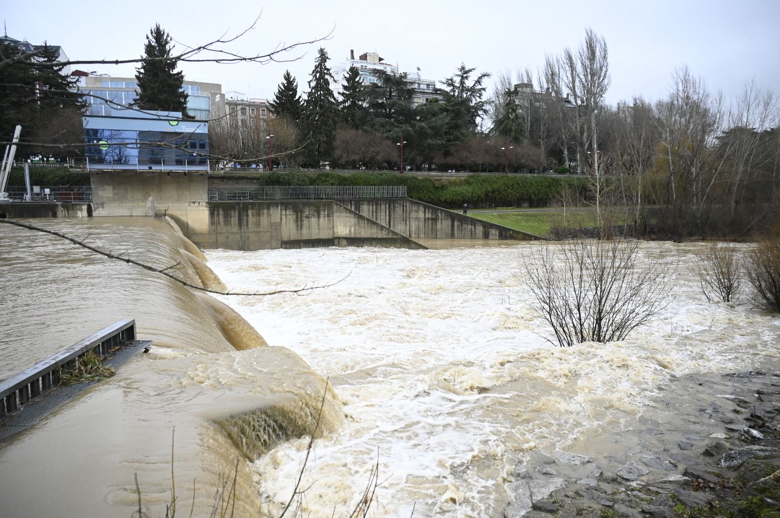 Así baja el río Bernesga en León capital este lunes. | SAÚL ARÉN