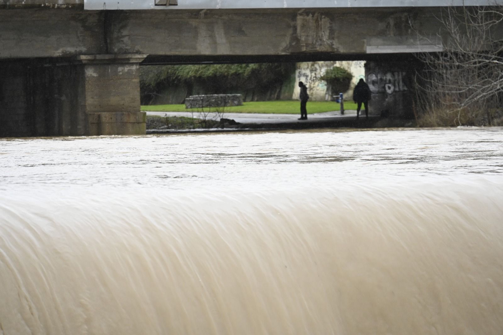 Así baja el río Bernesga en León capital este lunes. | SAÚL ARÉN