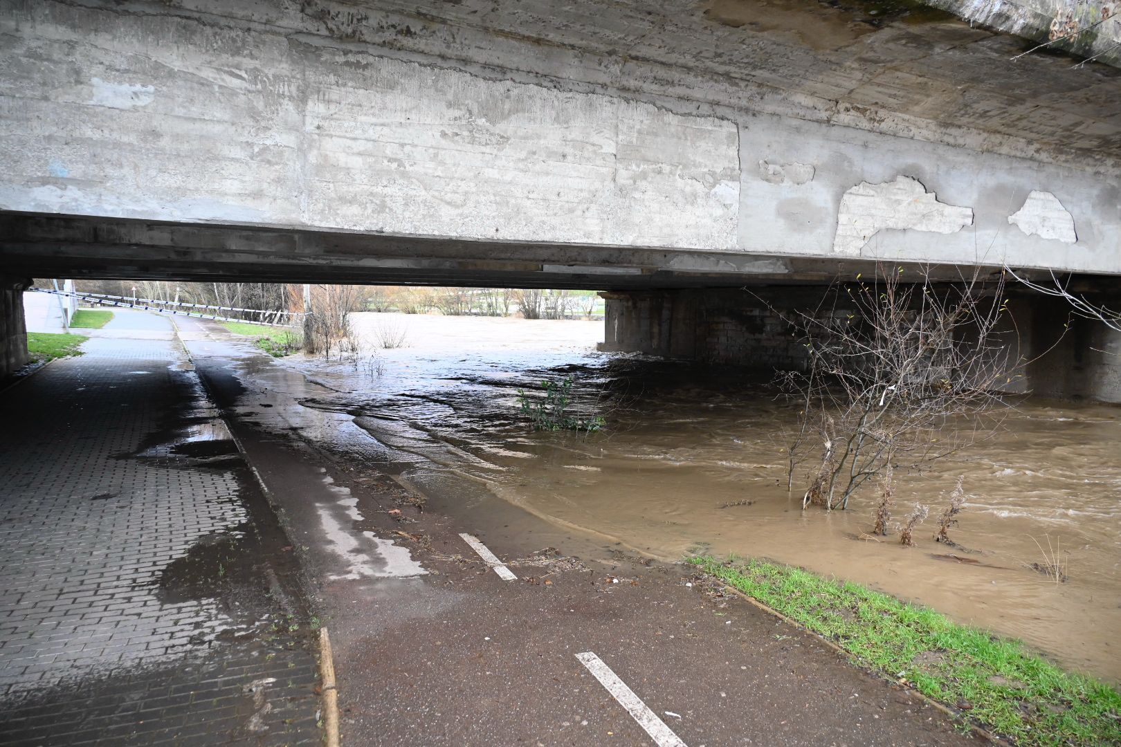 Así baja el río Bernesga en León capital este lunes. | SAÚL ARÉN