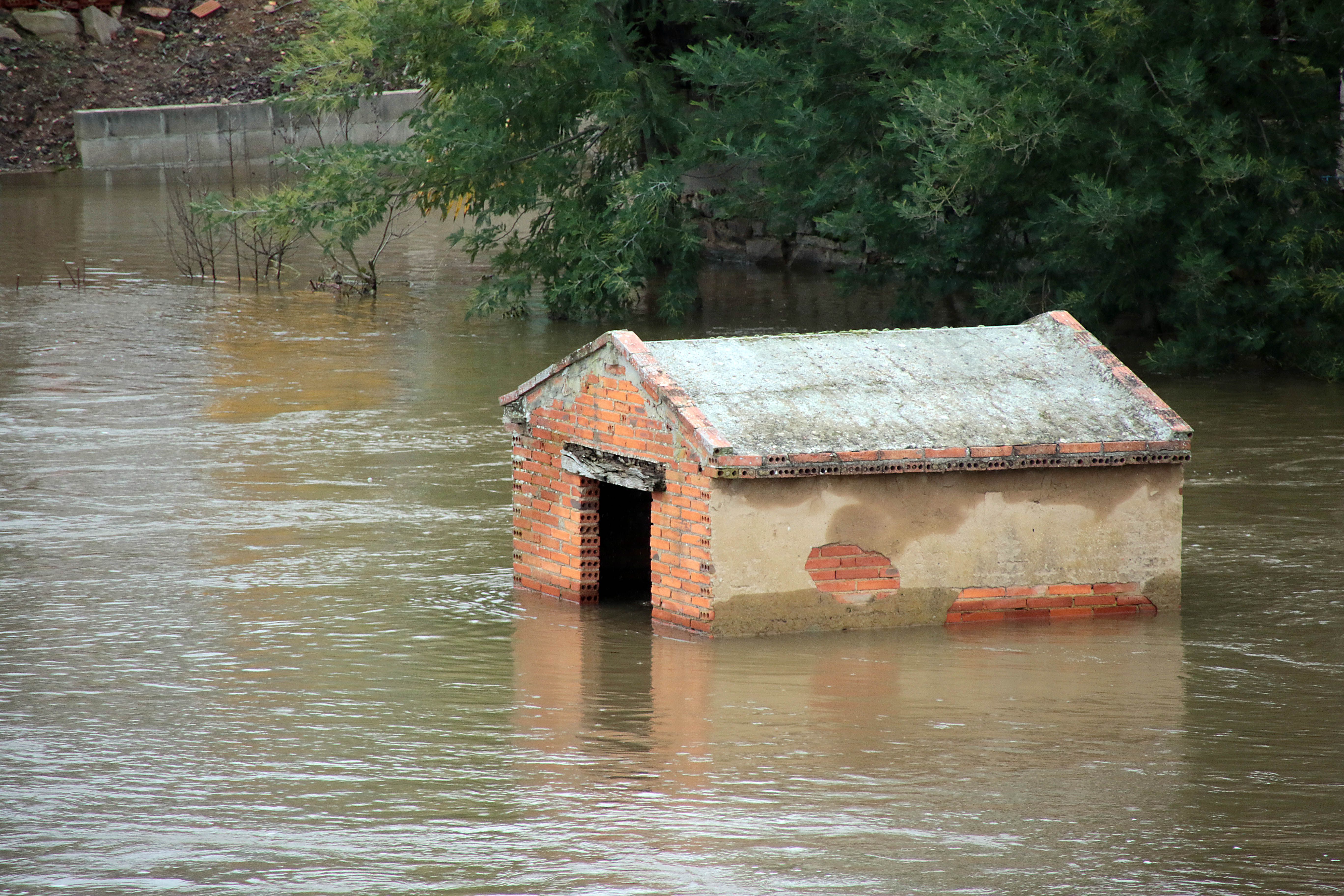 Las imágenes del desbordamiento del río Órbigo en el sur de León. | PEIO GARCÍA (ICAL) Las imágenes del desbordamiento del río Órbigo en el sur de León. | PEIO GARCÍA (ICAL)