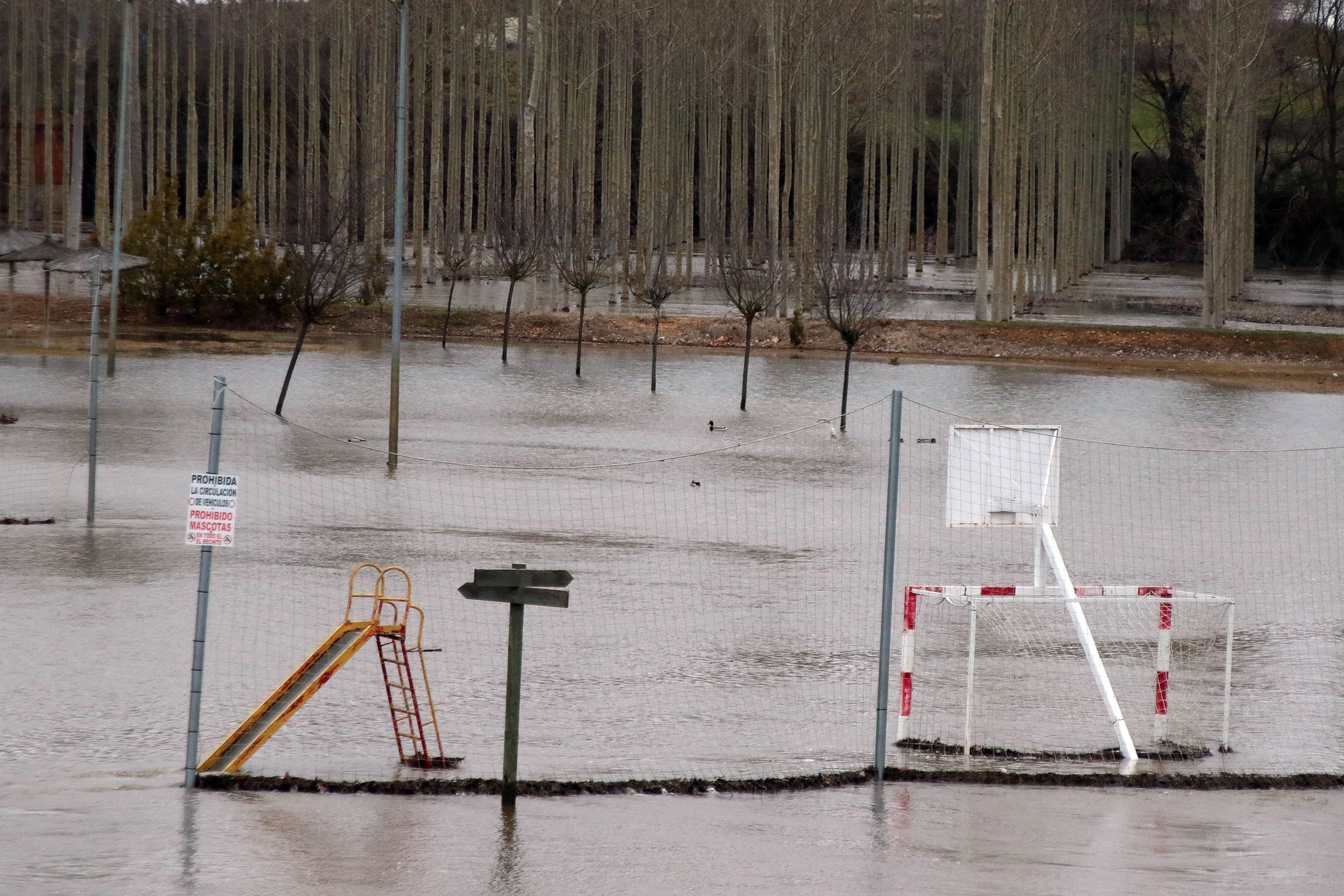 Las imágenes del desbordamiento del río Órbigo en el sur de León. | PEIO GARCÍA (ICAL)
