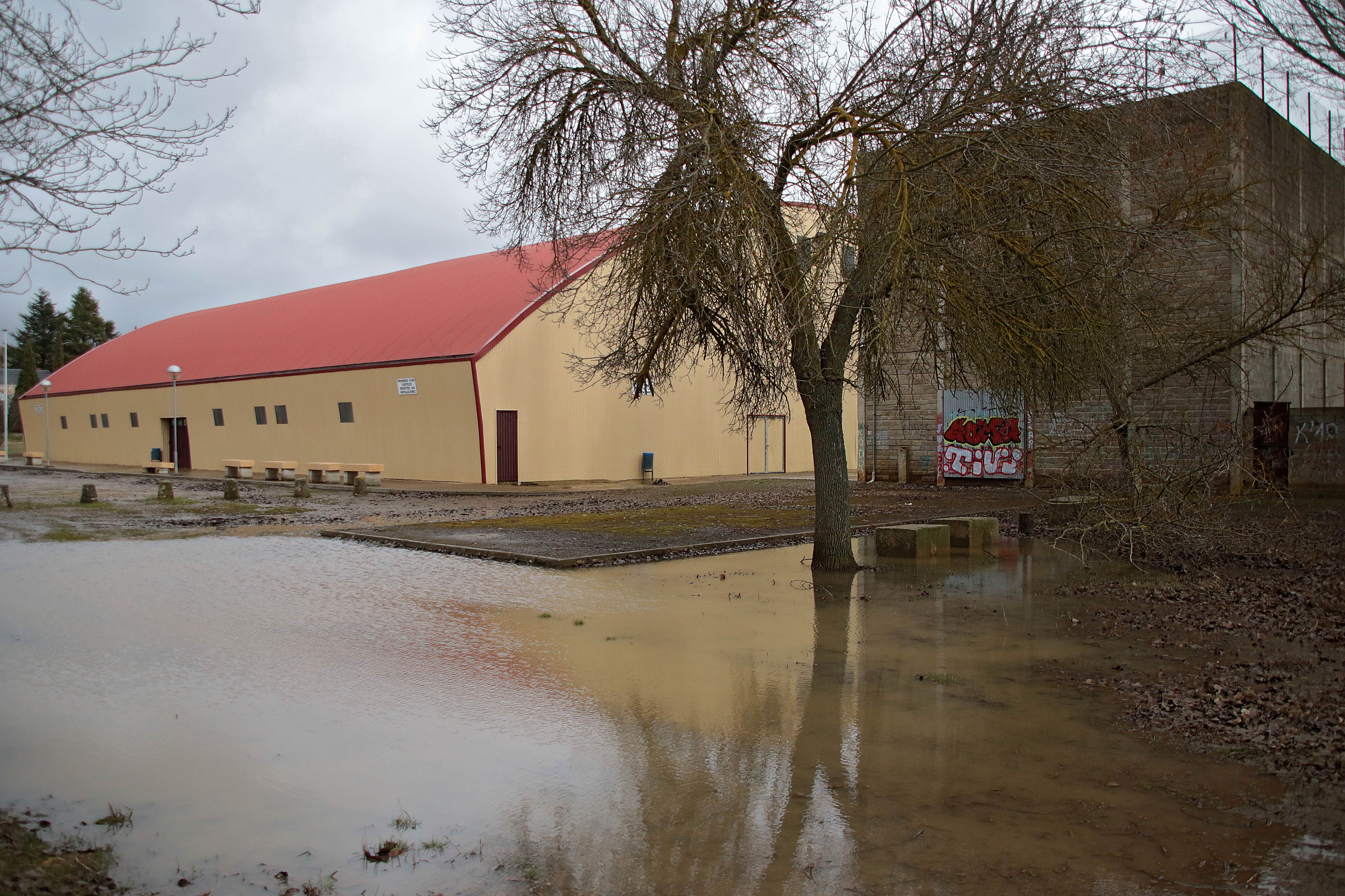 Las imágenes del desbordamiento del río Órbigo en el sur de León. | PEIO GARCÍA (ICAL)