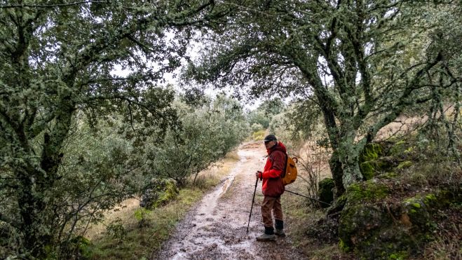 10 Por el encinar