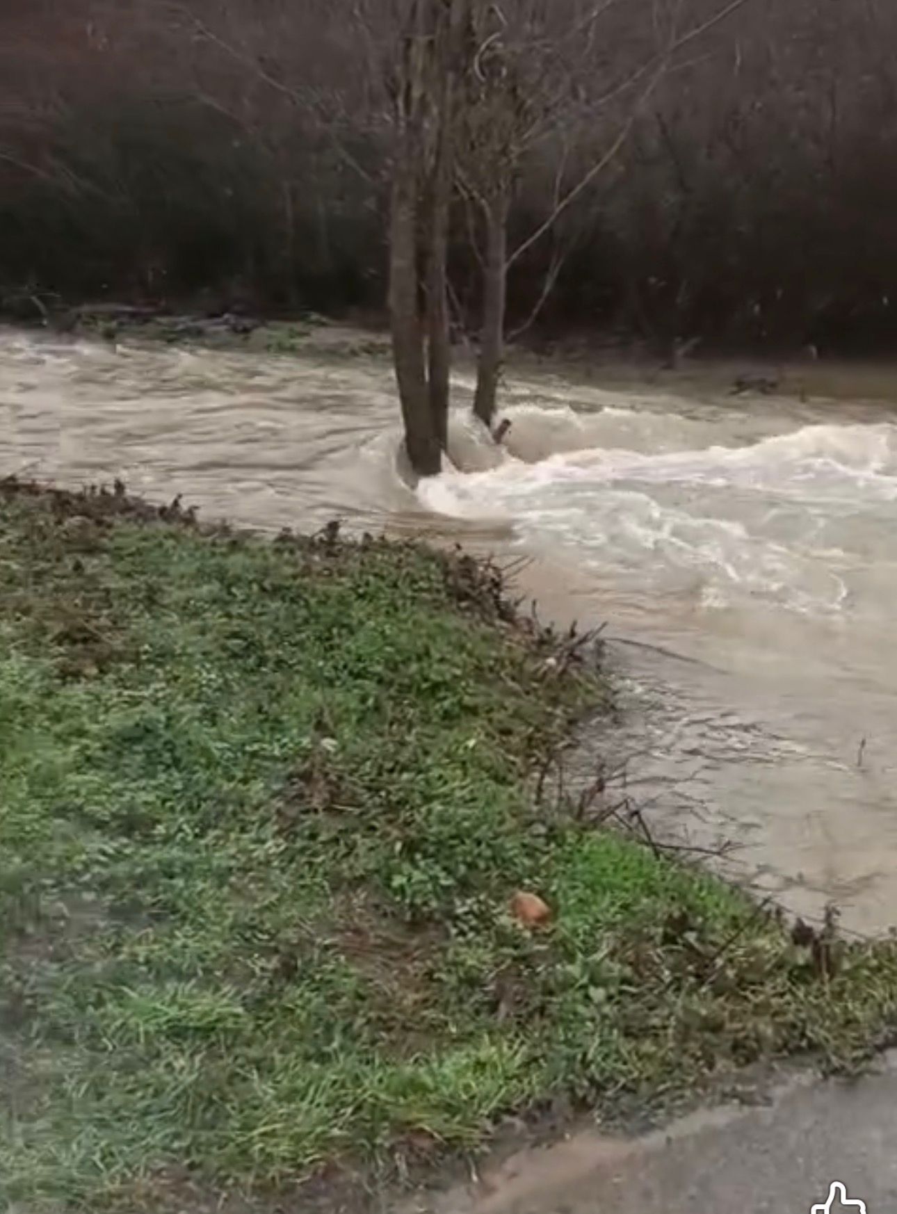 Estado de las aguas en Toreno.