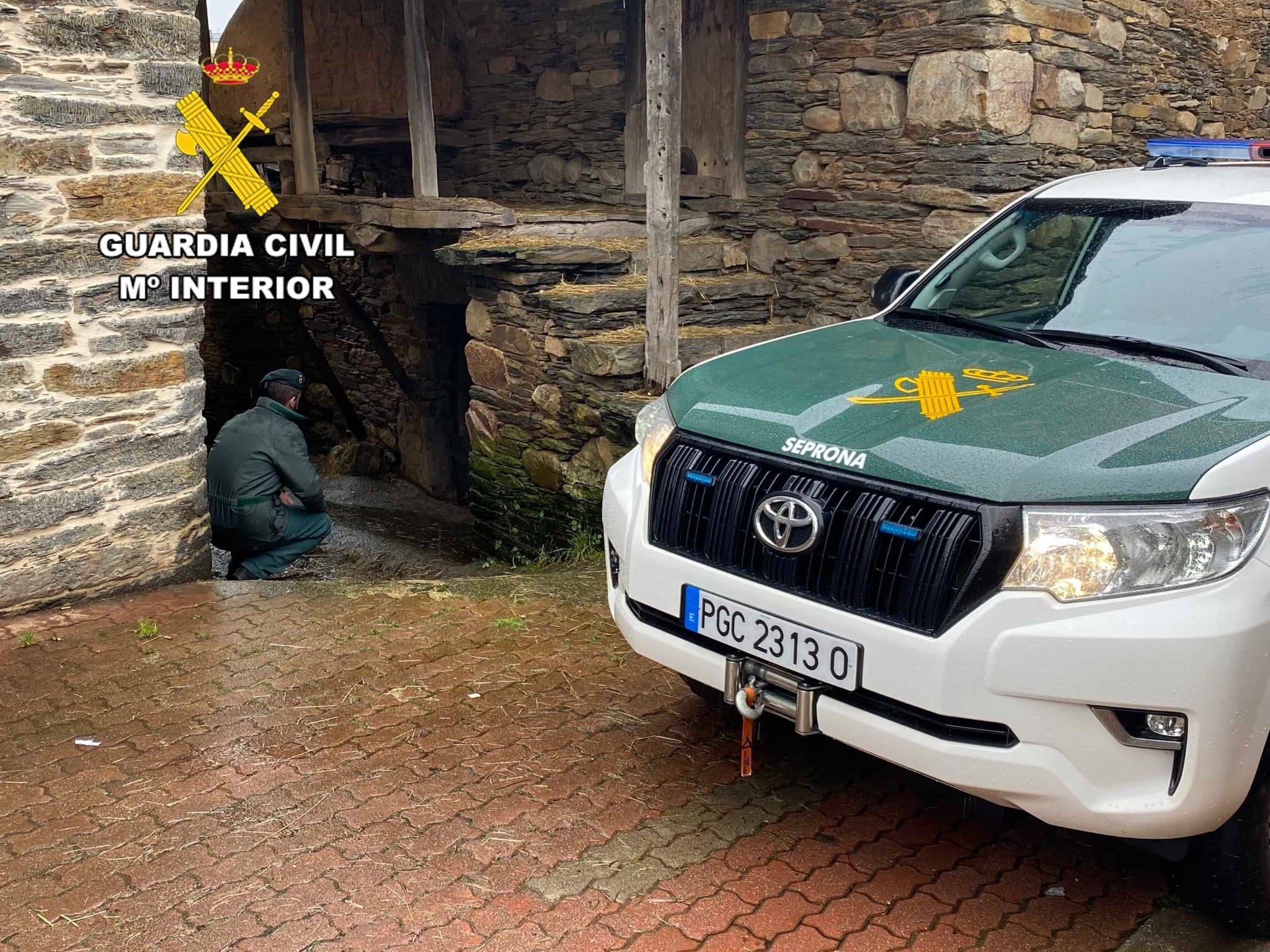 Investigación de la Guardia Civil sobre el envenenamiento.