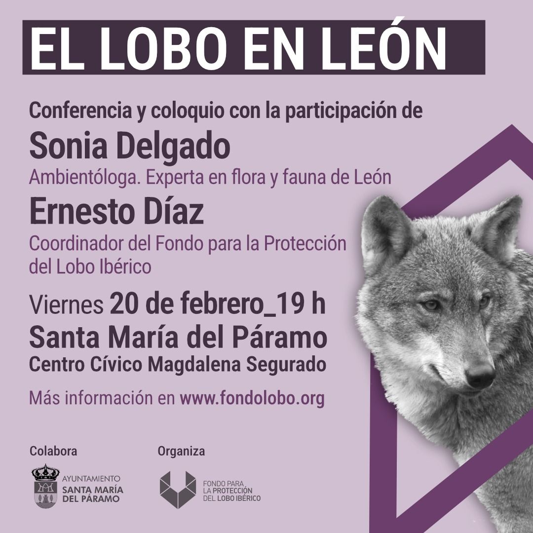 Cartel de la charla sobre el lobo.