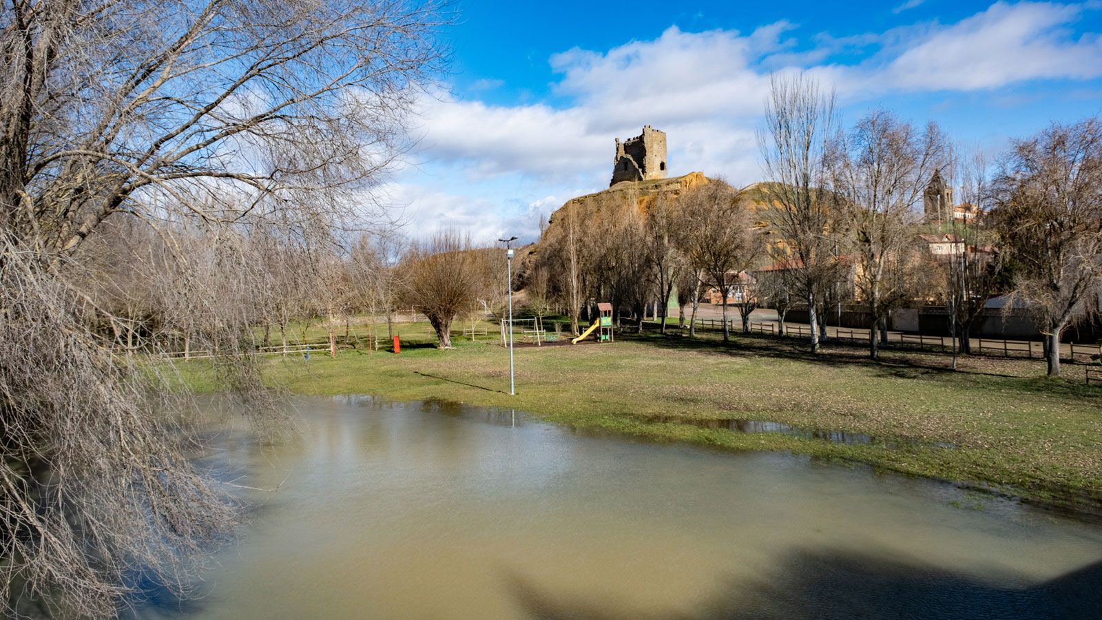 El soto inundado. | VICENTE GARCÍA