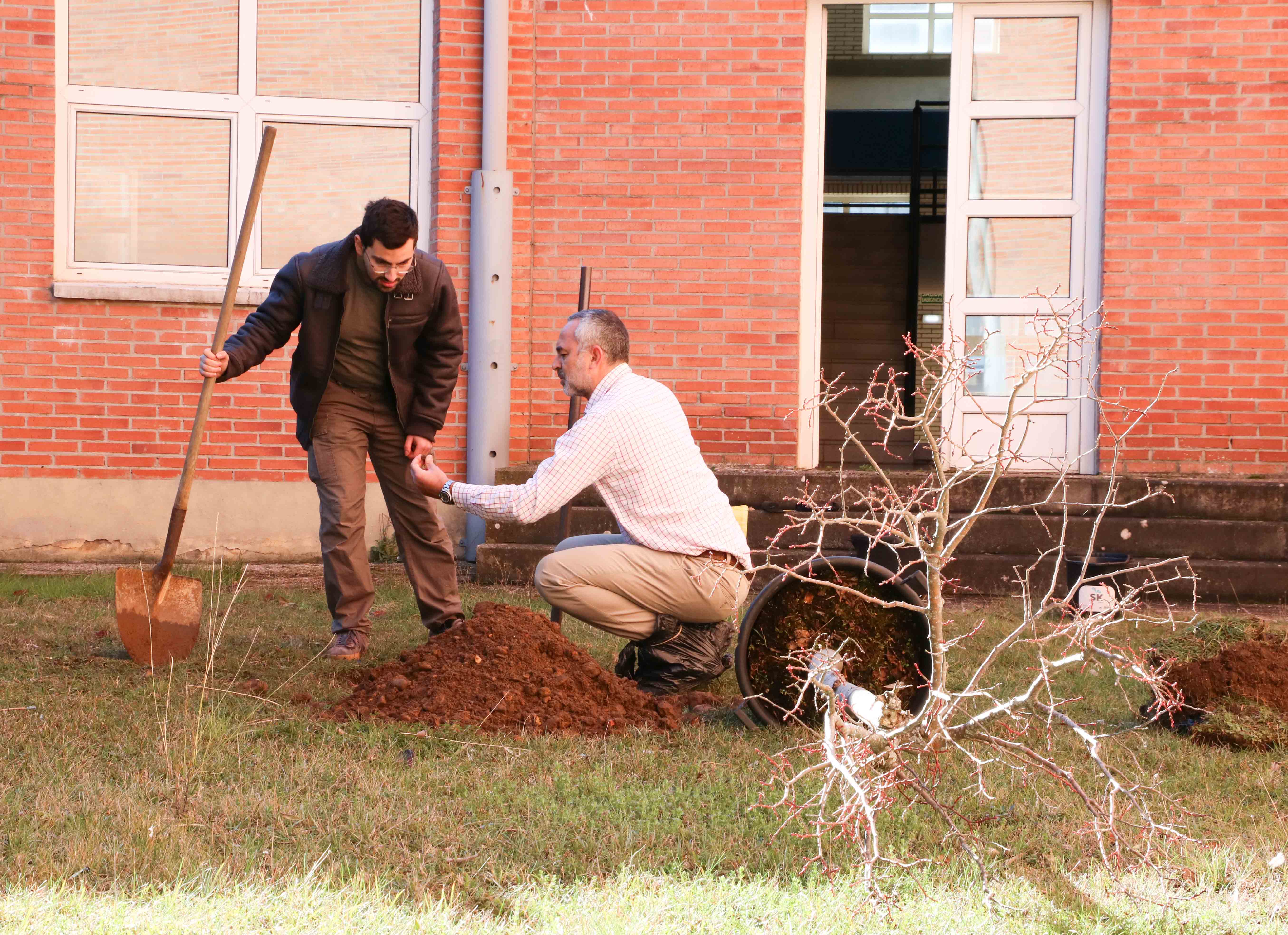 El tilo de Sergio Boixo se ubica en los jardines de la Facultad de Ciencias Económicas y Empresariales del Campus de Vegazana. | L.N.C.