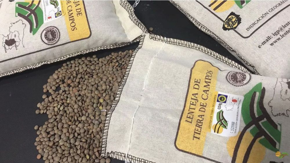 Este año, 931 microrrelatos han optado al galardón. | L.N.C.