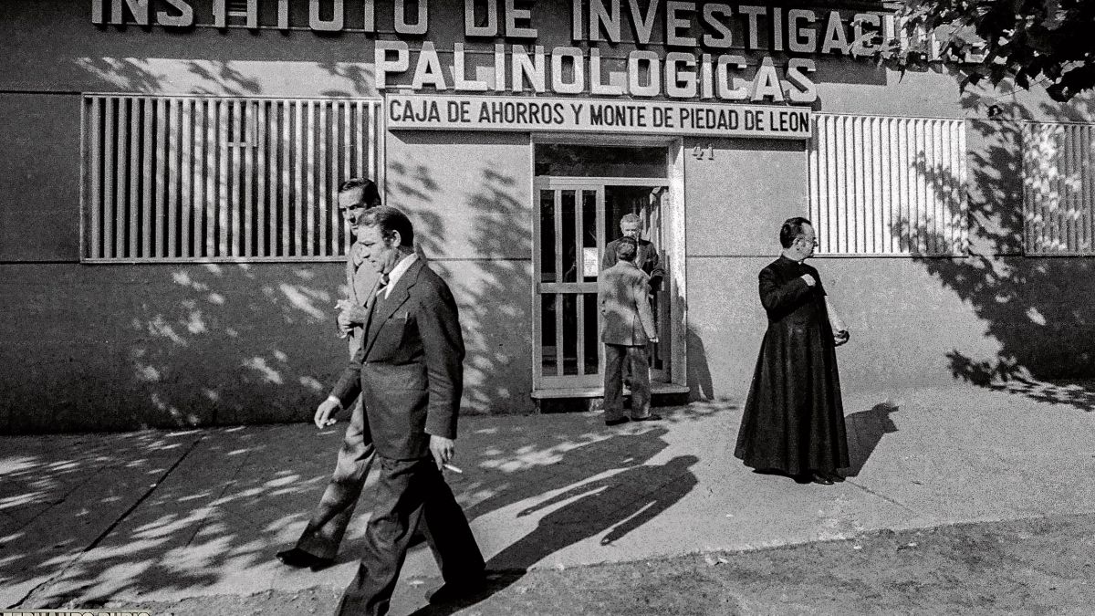 Imagen 1 Instituto Palinologico 1976 Caja y cura Imagen 1 Instituto Palinologico 1976 Caja y cura