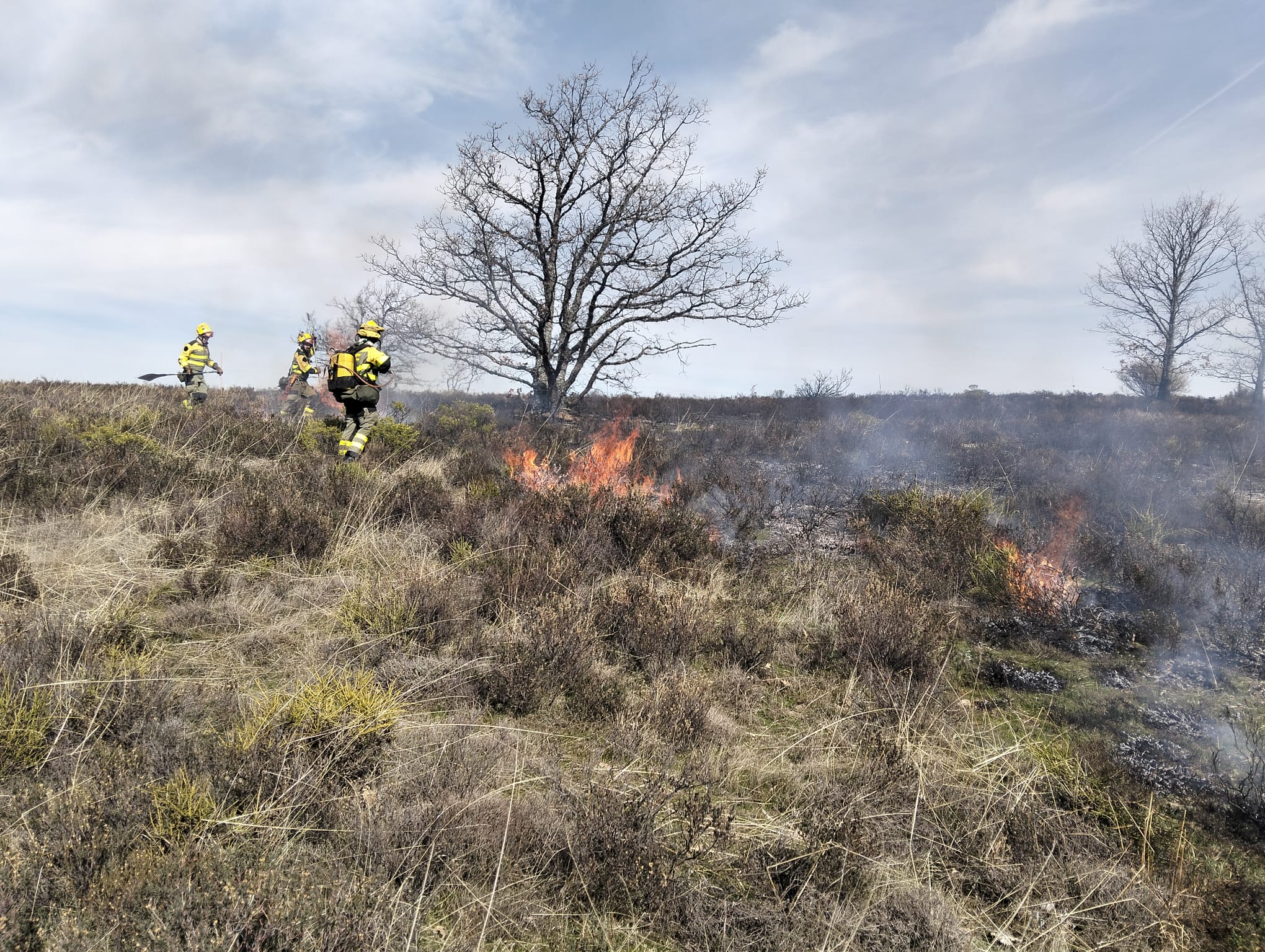 Efectivos de la Brif de Tabuyo combaten el fuego este lunes en la Somoza. | AT BRIF