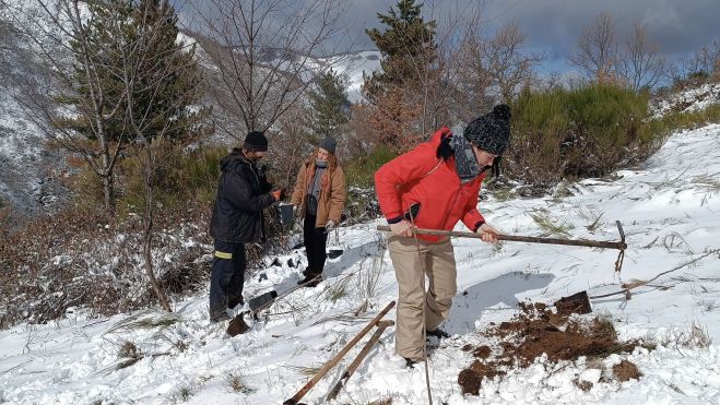Trabajos de plantación realizados entre la nieve. | Tyto Alba