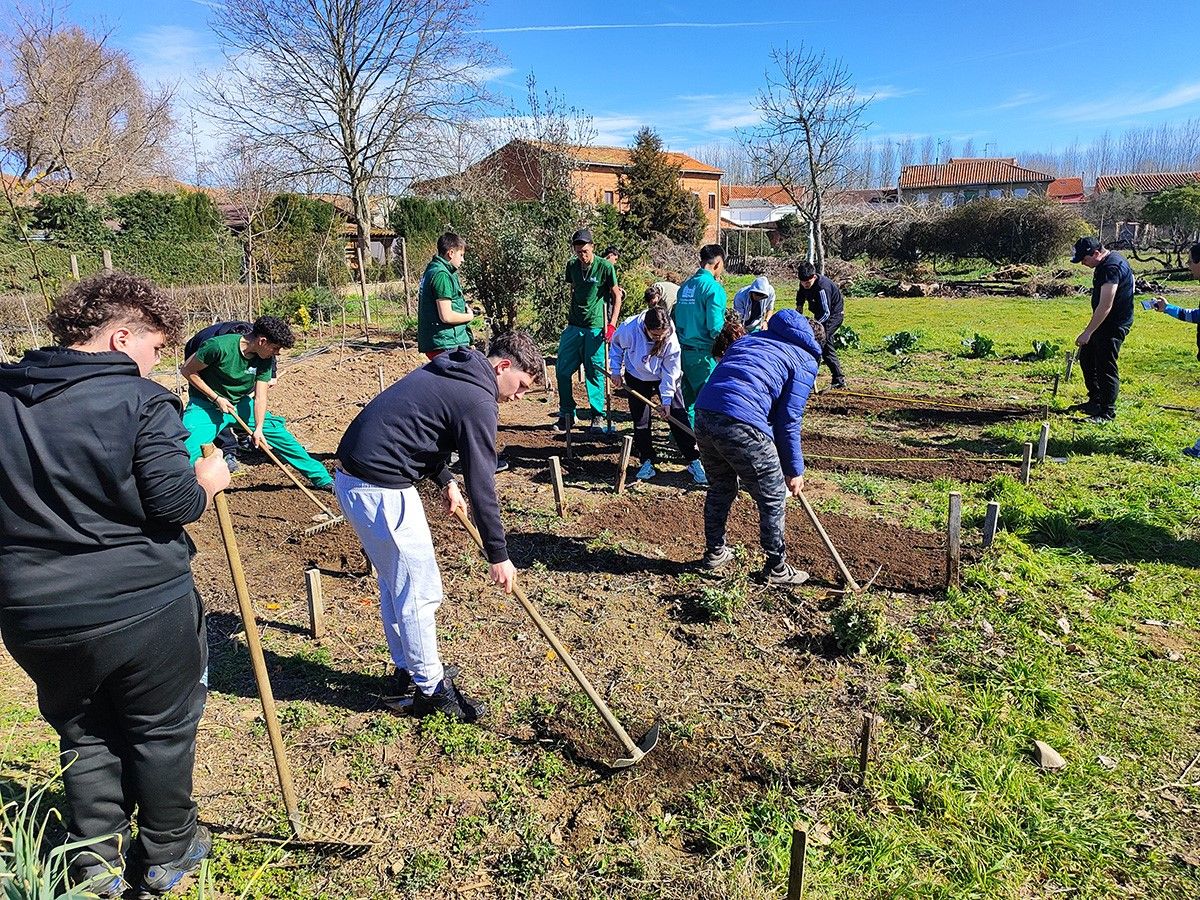 Alumnos del Colegio Sierra Pambley en una de las competiciones. | L.N.C.