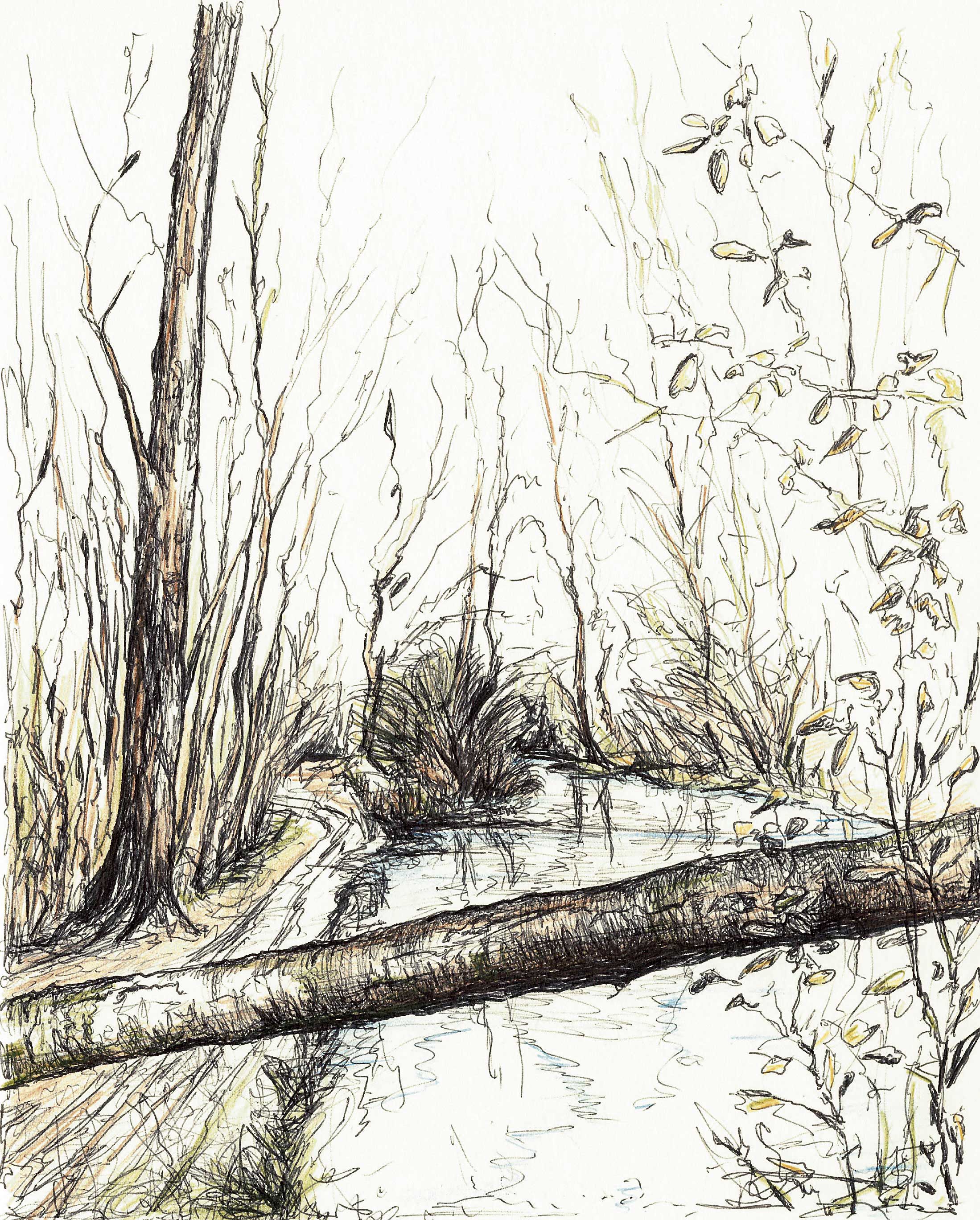 No es la vida, eres tú evitando preguntas incómodas. | JOSÉ ANTONIO SANTOCILDES