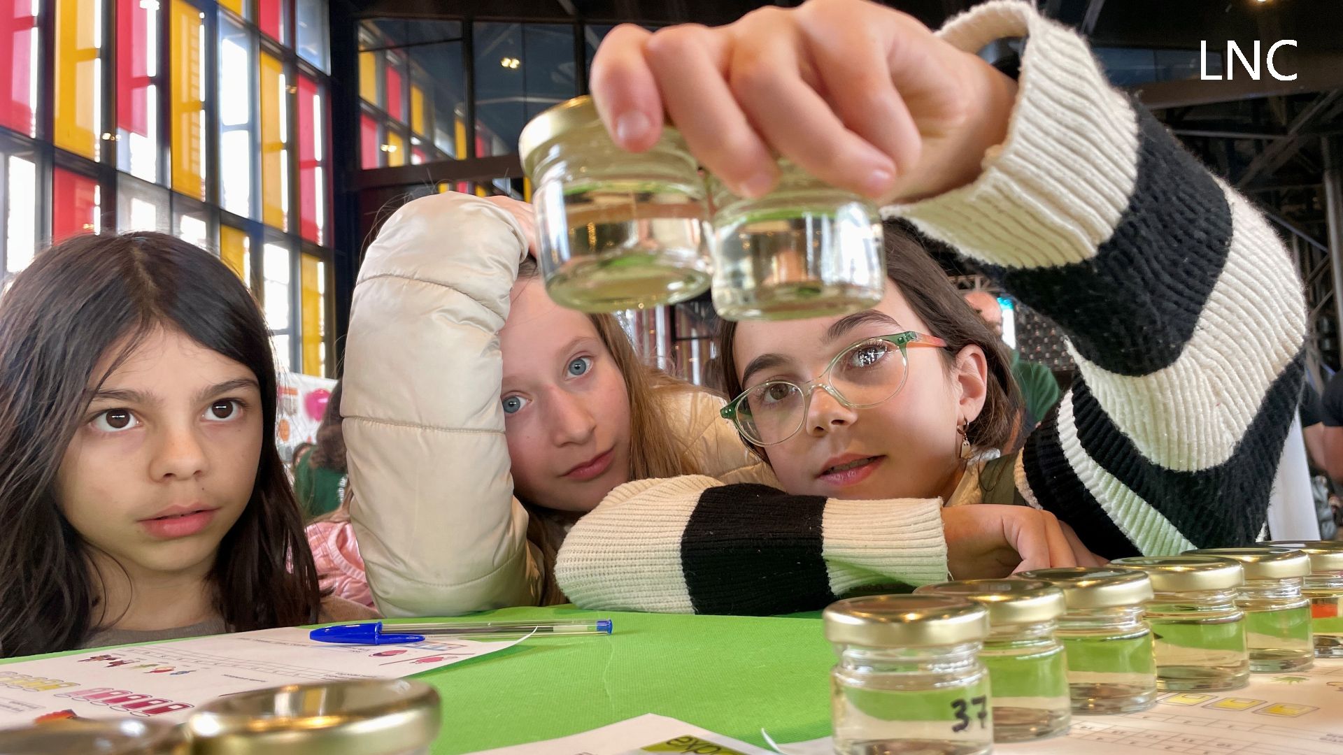 Expociencia abre sus puertas: Un 'palacio' en el que "la curiosidad se convierte en conocimiento" Expociencia abre sus puertas: Un 'palacio' en el que "la curiosidad se convierte en conocimiento"