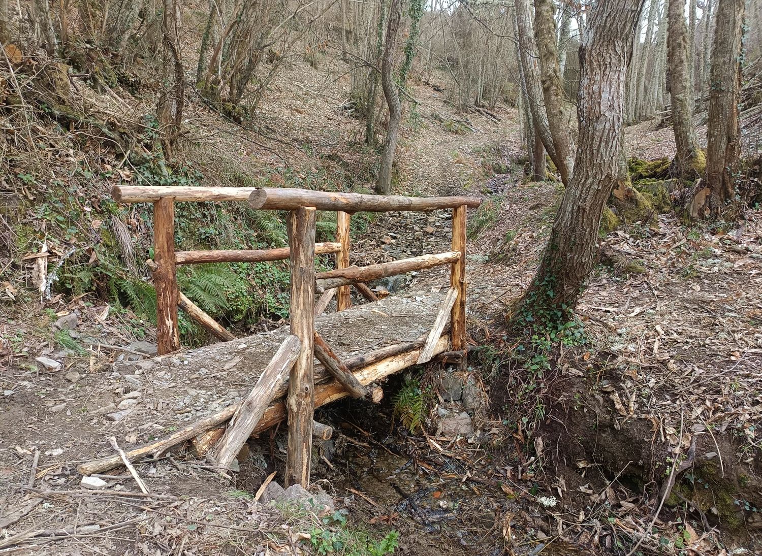 Uno de los puentes de la senda.