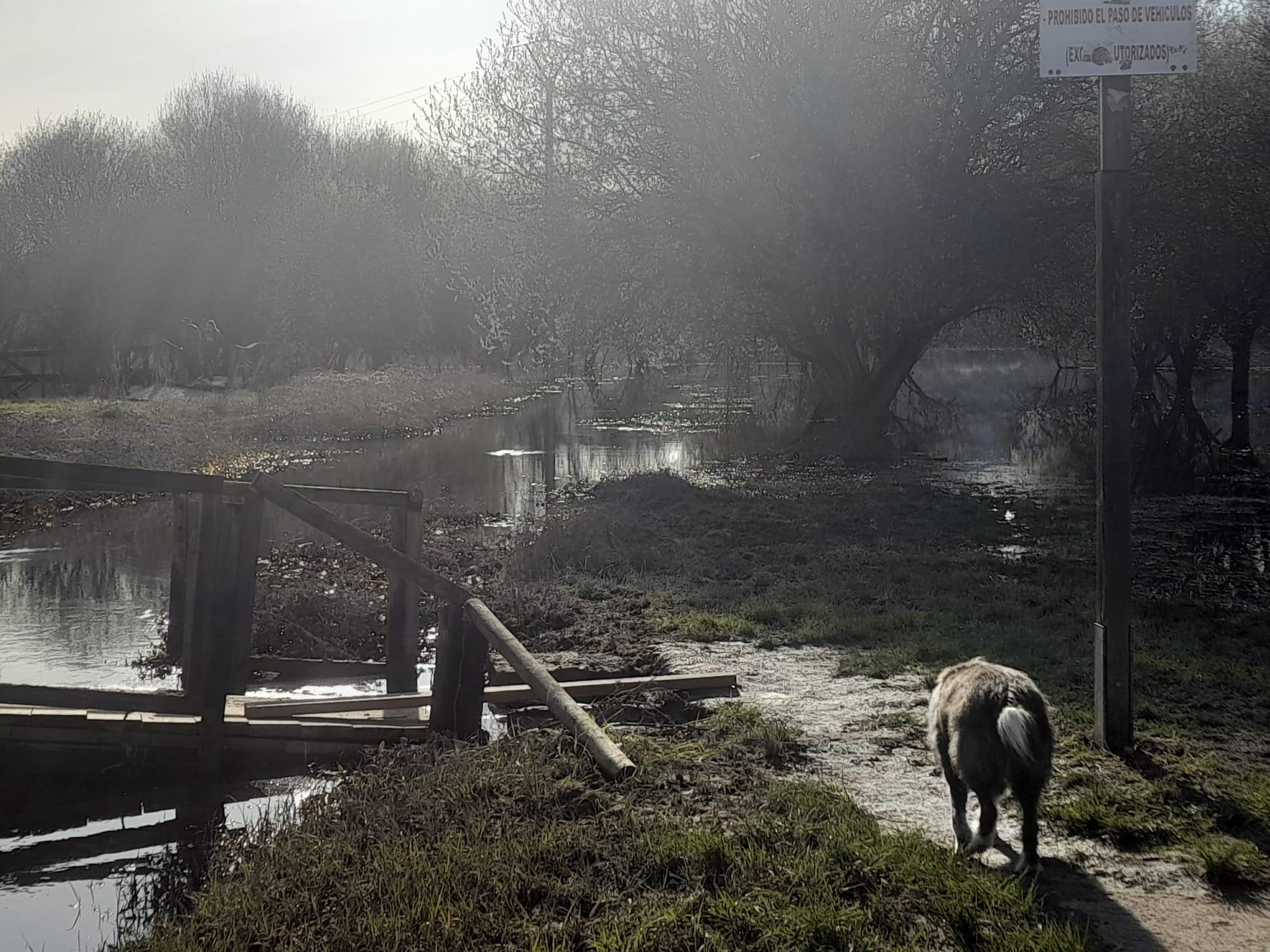 El lago está lejos de ser la zona de baño que conocemos en verano. | MAR IGLESIAS
