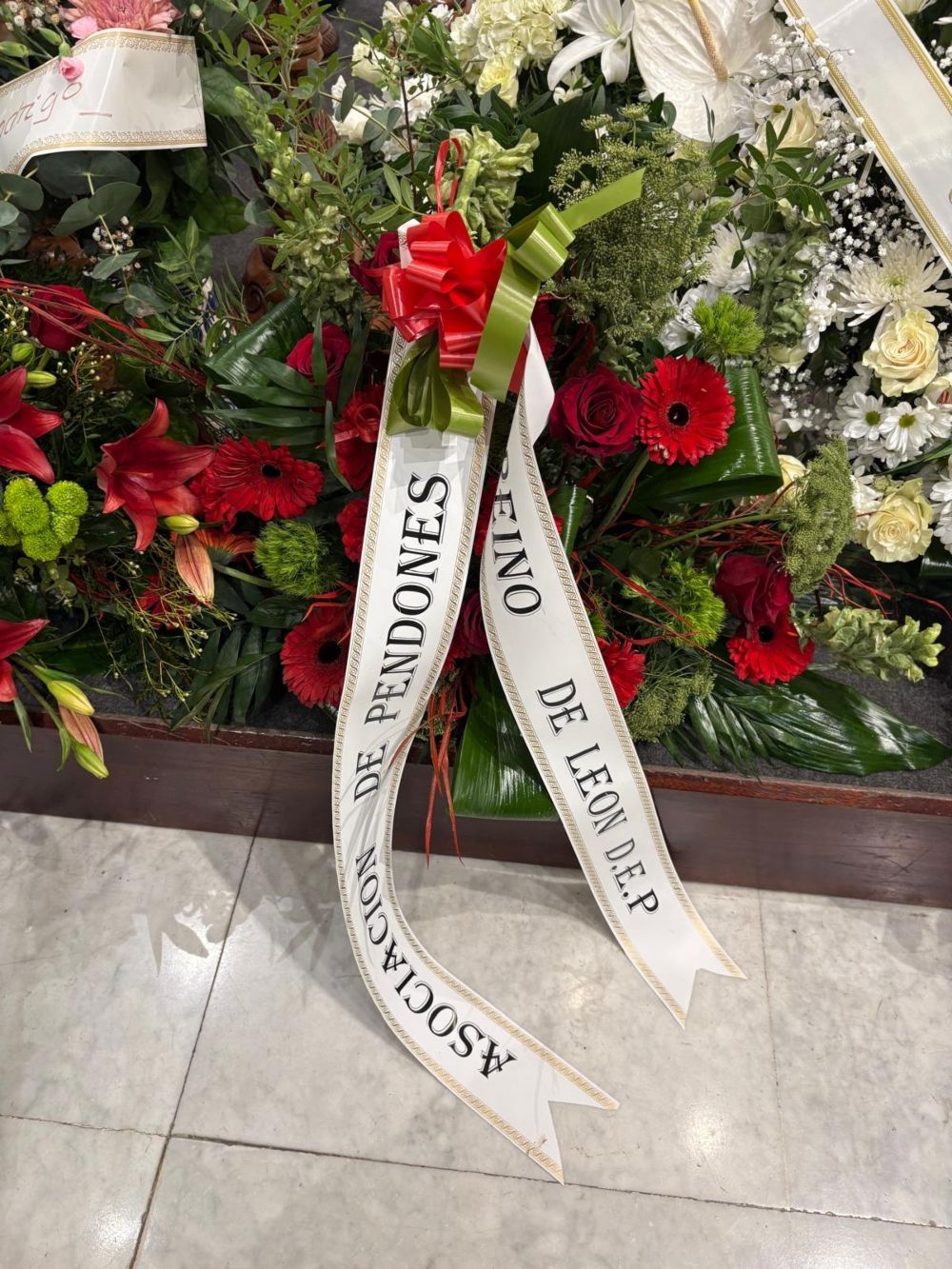 WhatsApp Image 2026 03 04 at 16.26.15