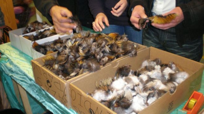 Dos días de exposiciones, demostraciones y actos culturales.ALFREDO HURTADO