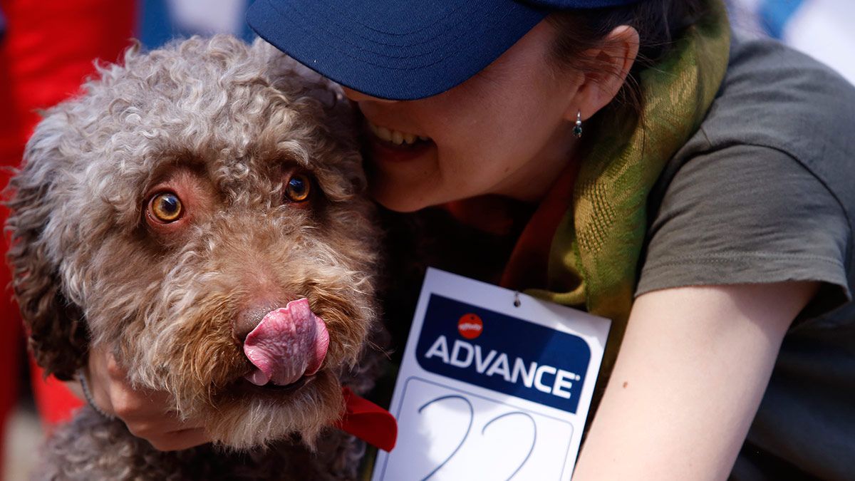 Imagen de archivo. | ICAL