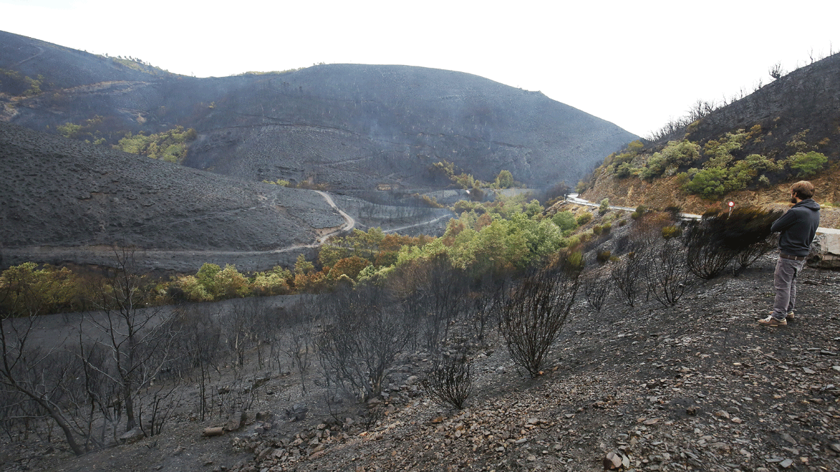 Los montes de Fabero, arrasados por el impactante fuego iniciado este lunes en Bárcena. | César Sánchez (Ical)