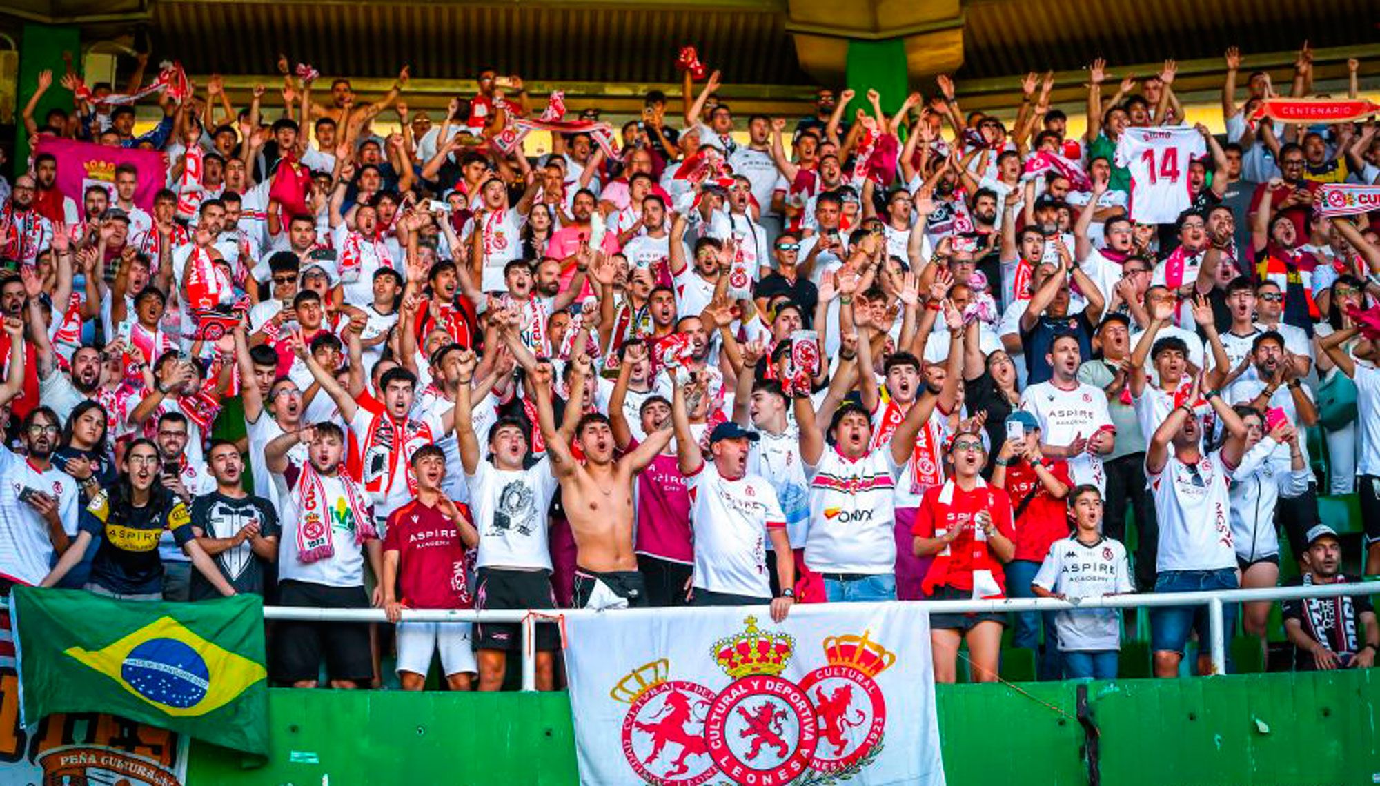 Imagen de la afición de la Cultural en El Sardinero en el partido frente al Racing. | LALIGA