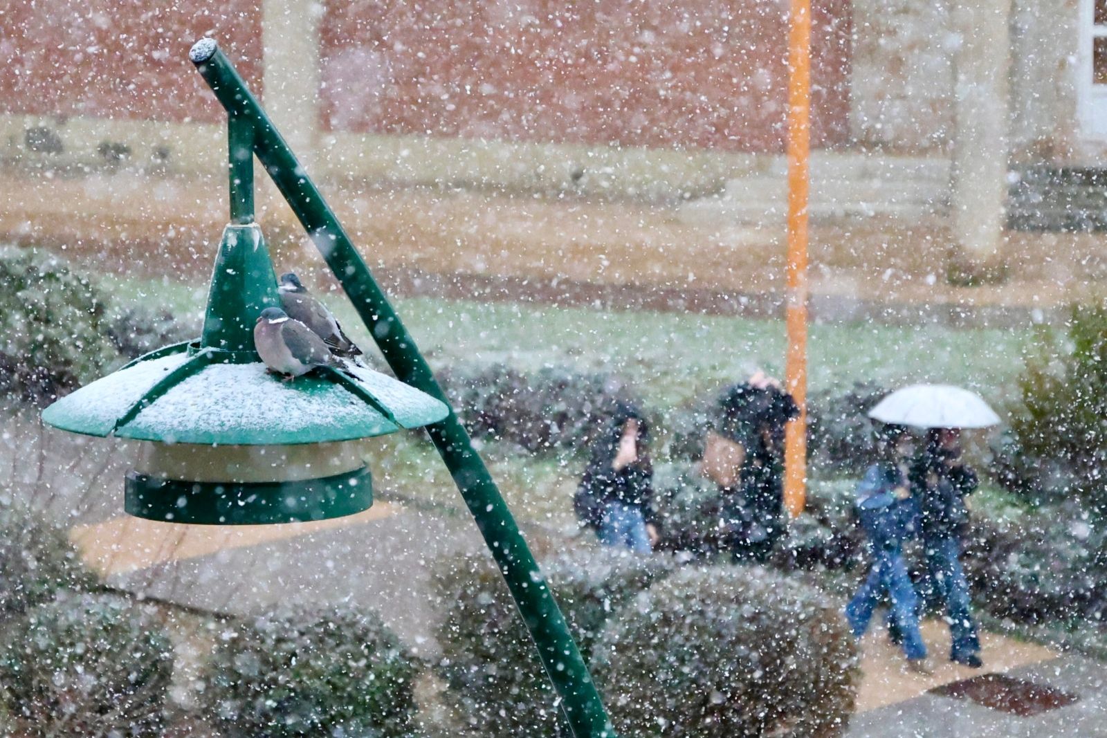 La nieve regresa a la capital leonesa | CAMPILLO / ICAL 
