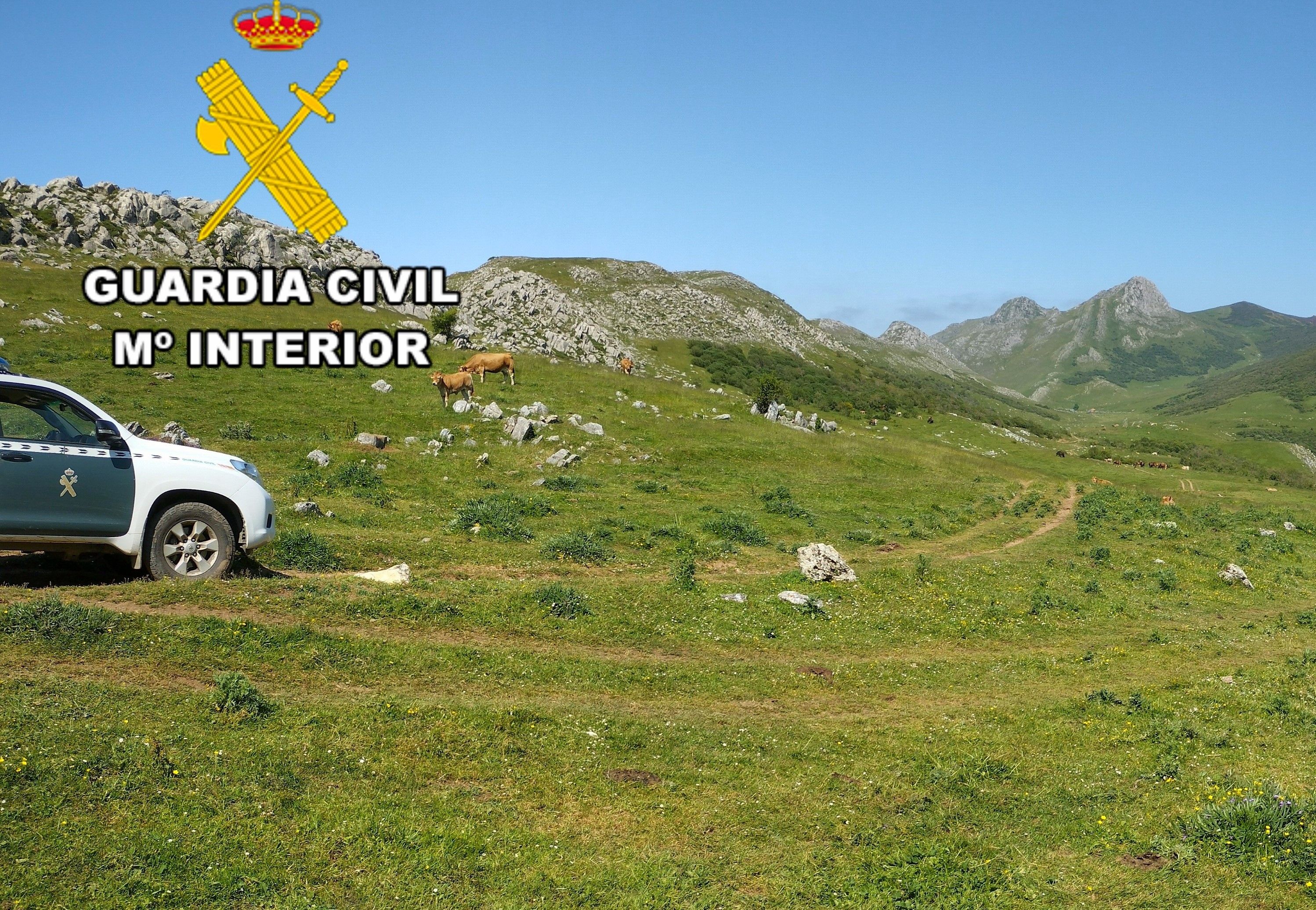 Zona de los Ancares donde se produjo el suceso.