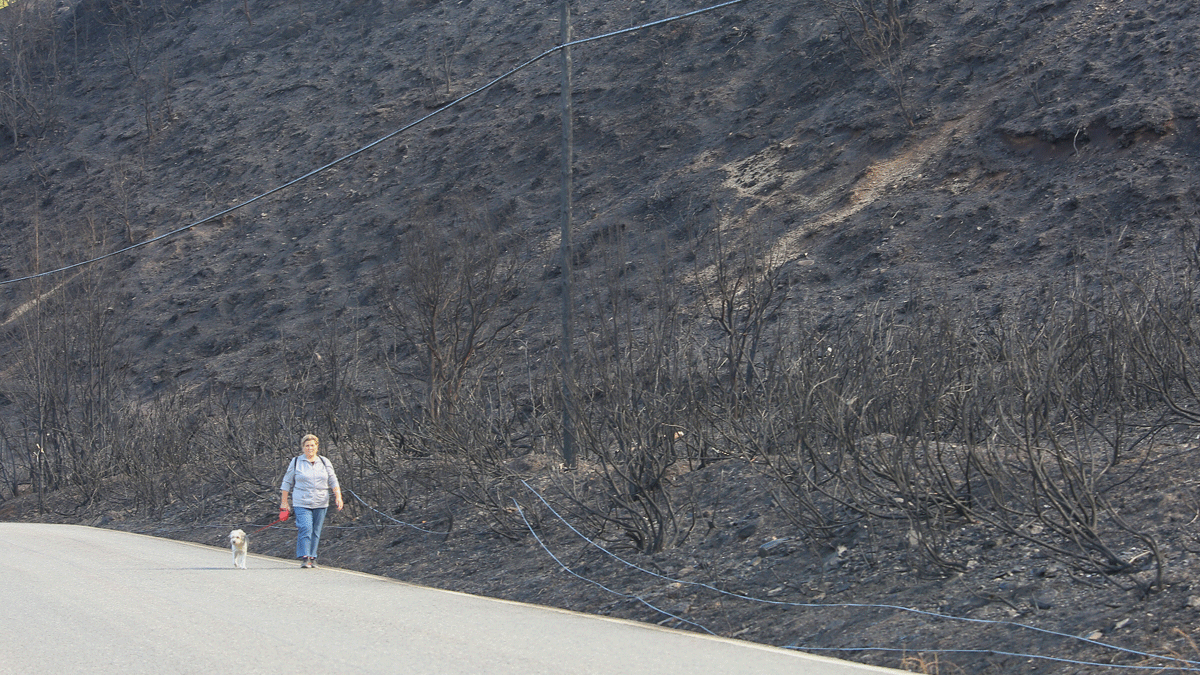 Una mujer pasea con su perro con un paisaje completamente calcinado por el fuego que arrasó en Fabero 2.665 hectáreas de masa forestal. | CÉSAR SÁNCHEZ (ICAL)