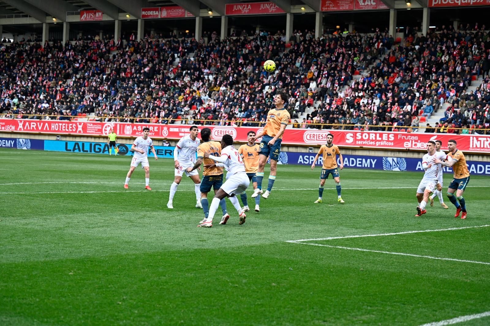 Cultural Racing (10)