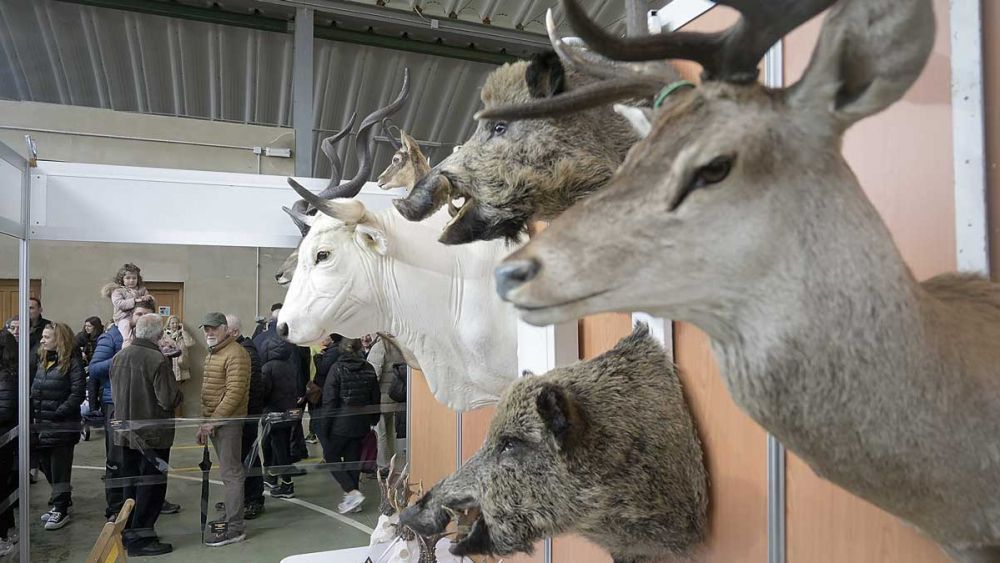 La feria se celebra este fin de semana con una amplia oferta de naturaleza, artesanía y productos locales.|  JESÚS F. SALVADORES