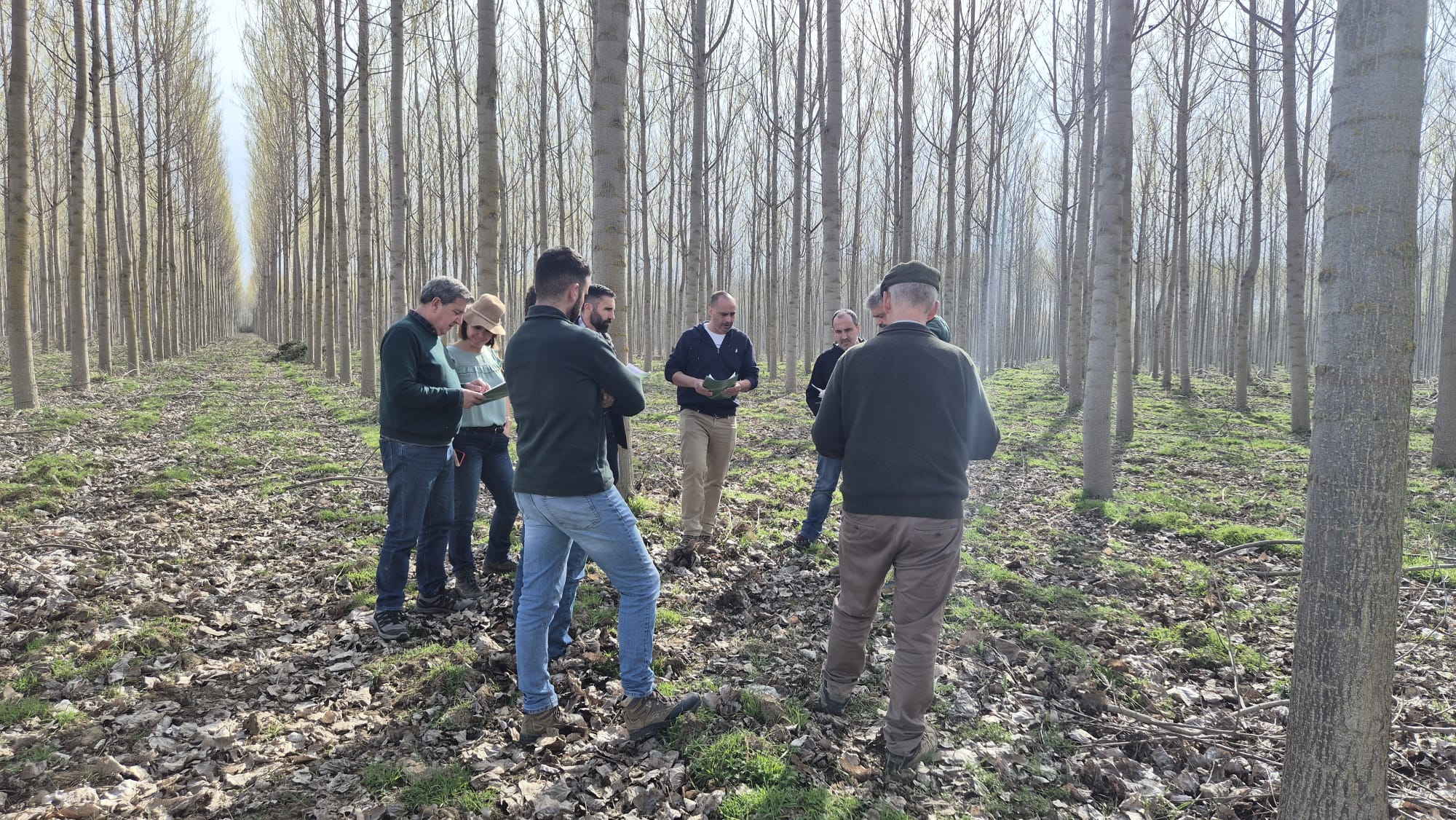 Jornada sobre el chopo.