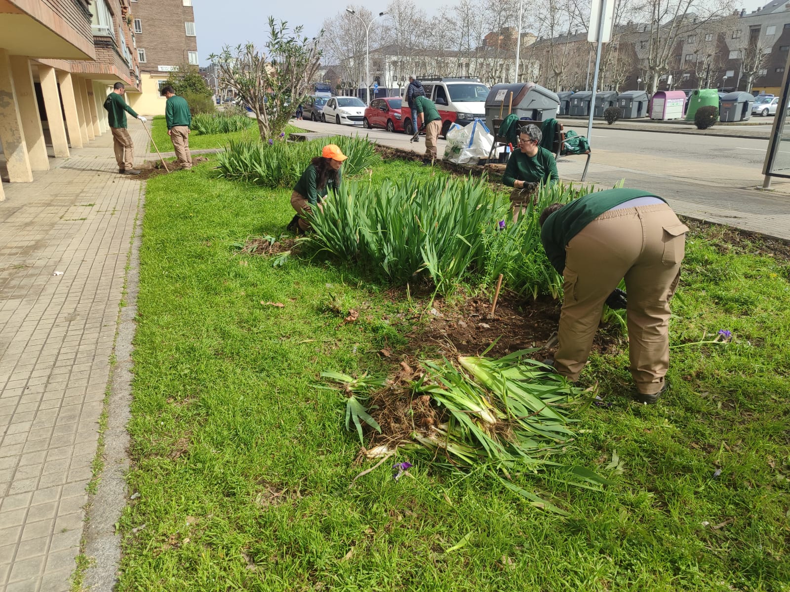 Renovación integral en la zona verde situada en la avenida de la Libertad.