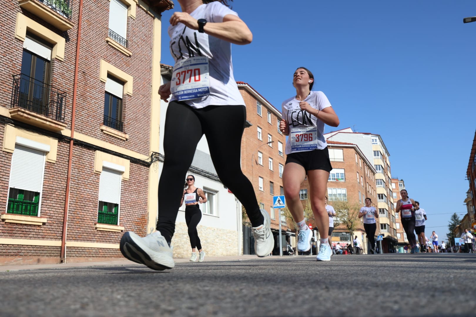 Diferentes momentos de la Media Maratón de León con récord de corredores. FERNANDO OTERO  (14)
