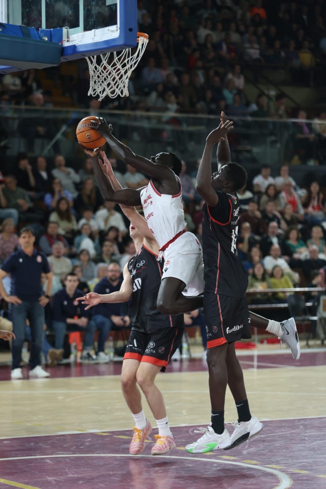 Cultural Iraurgi (4)