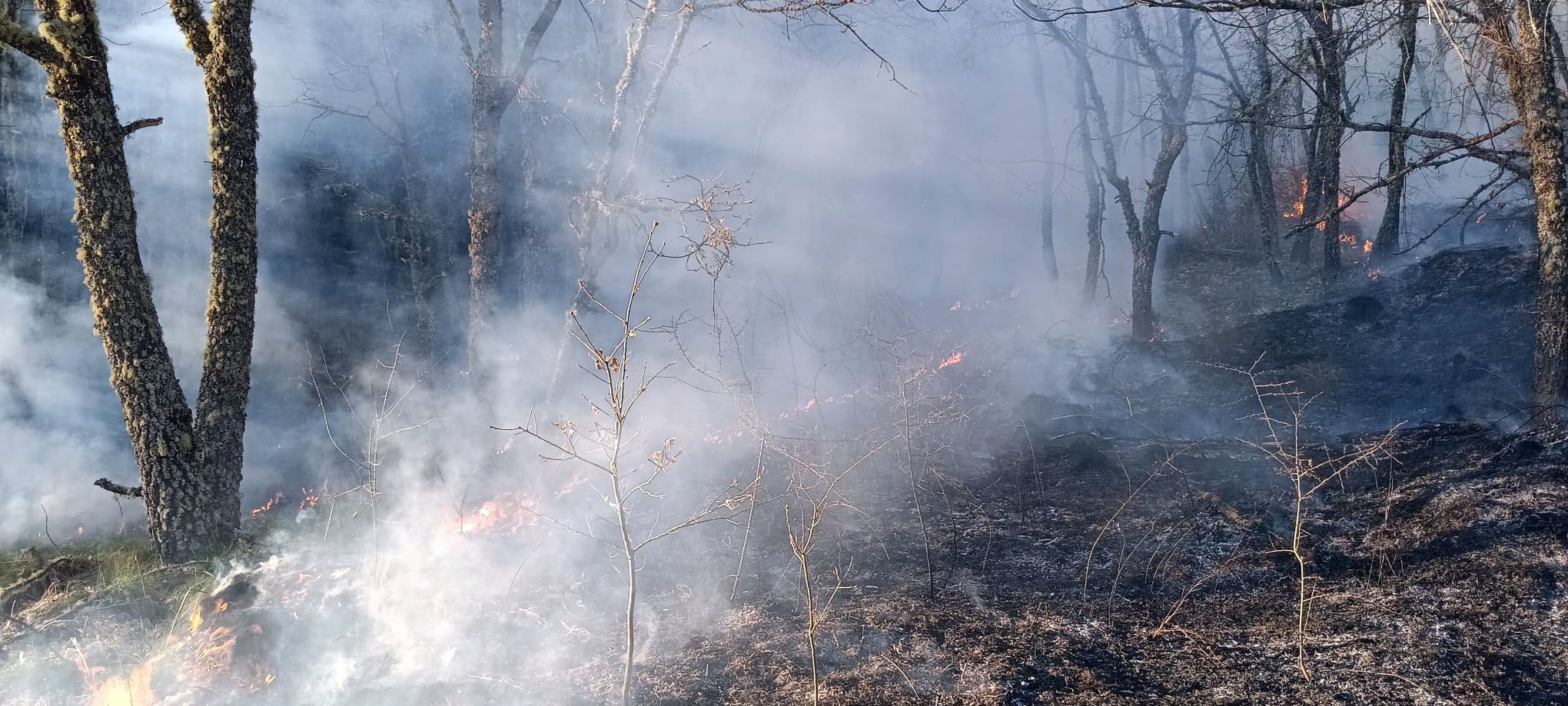 Incendio en Igüeña. | ICAL
