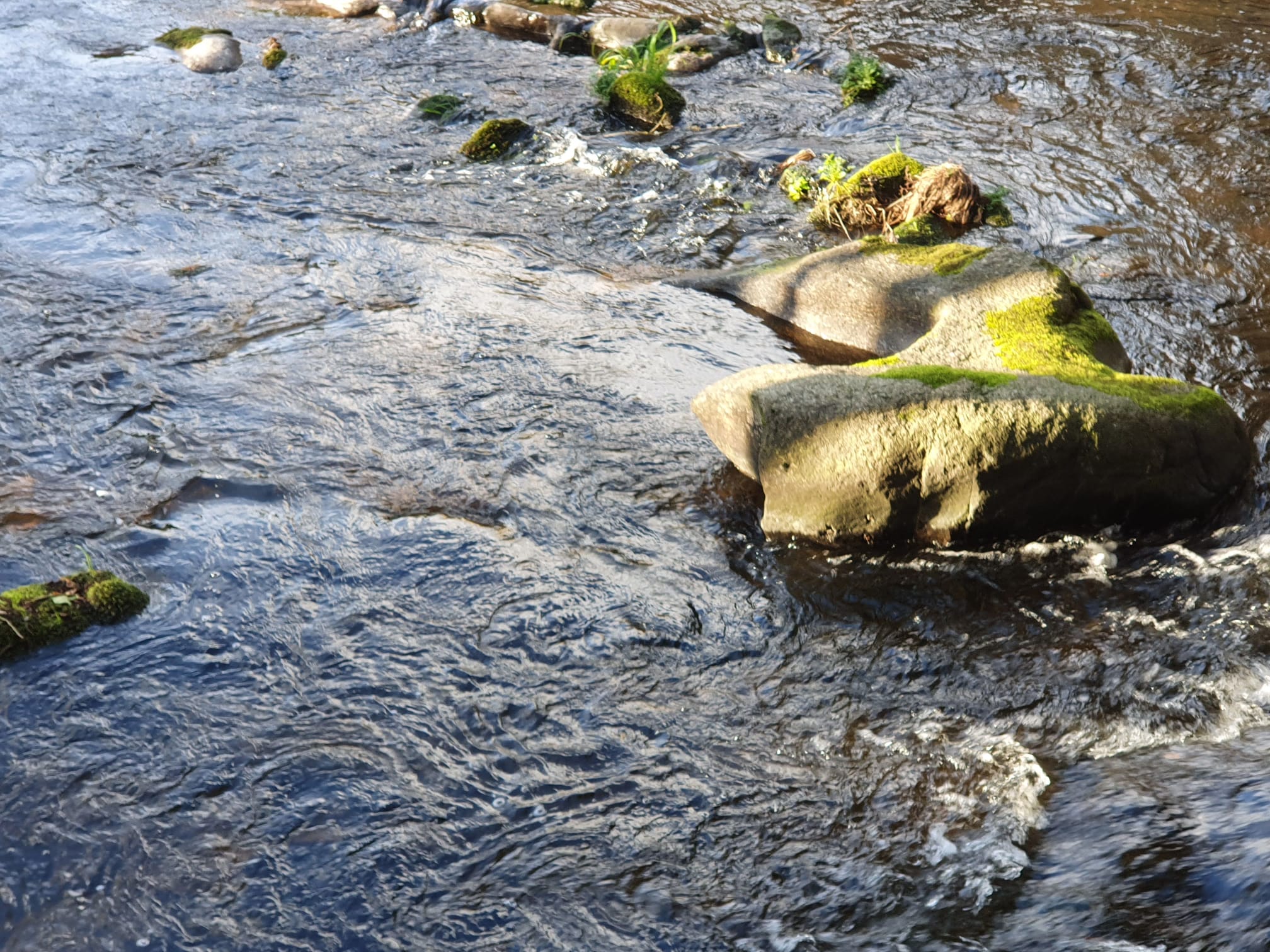 Río Boeza a su paso por Ponferrada. 