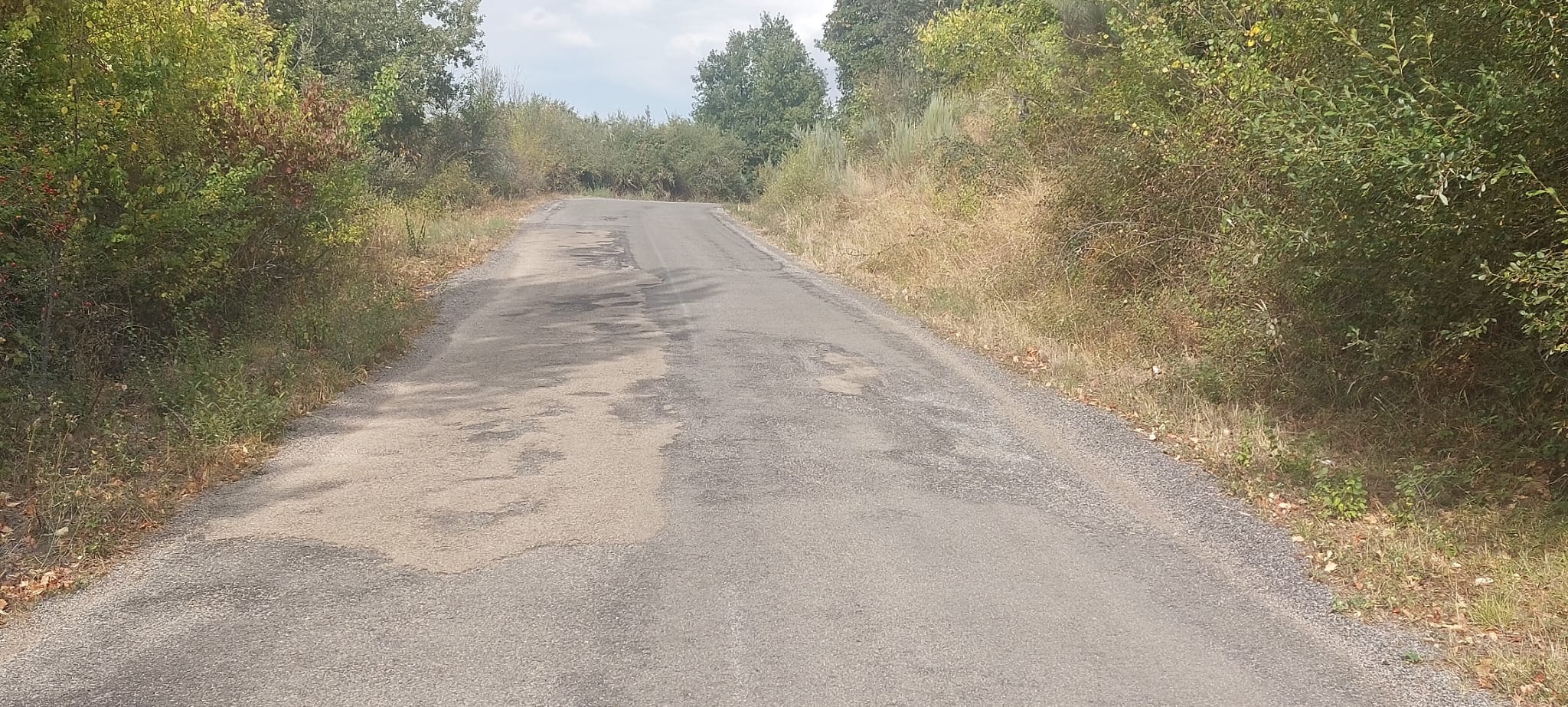 Carreteras del municipio de Castropodame.