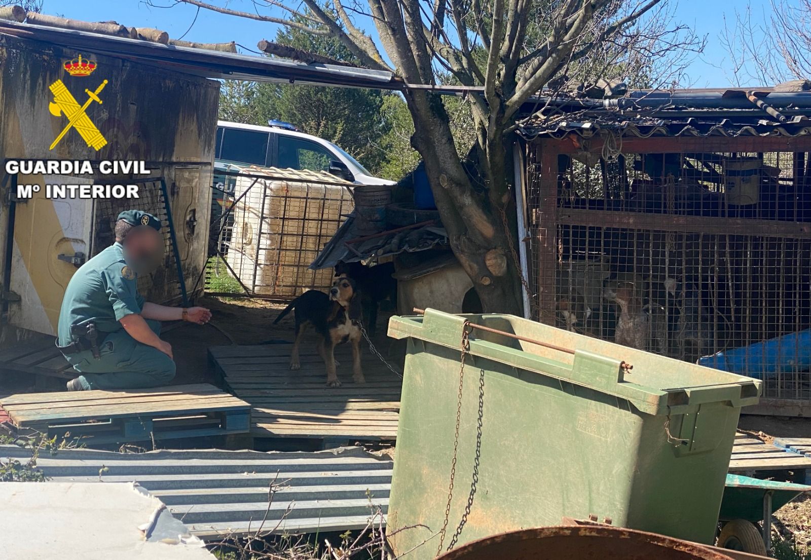 Situación en la que se encontraron a los animales. | GUARDIA CIVIL